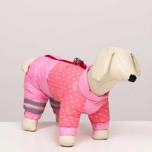 Комбинезон для собак "Горошек", размер 20 (ДС 43, ОГ 56, ОШ 41 см), розовый