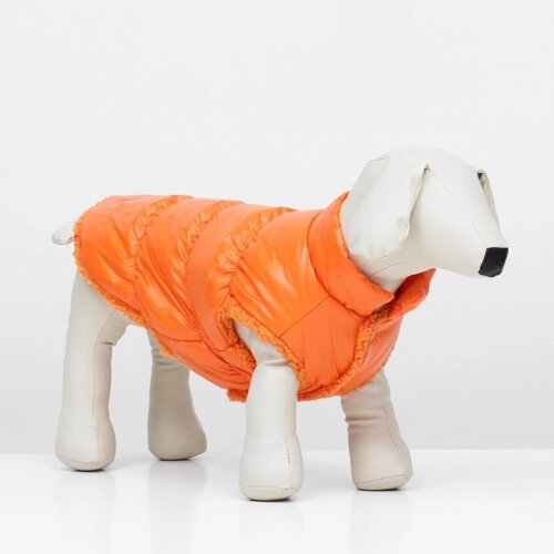 Куртка для собак "Блеск", 3XL (ДС 50, ОГ 68, ОШ 44 см), оранжевая