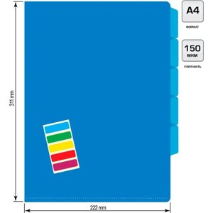 Набор папок уголков, А4, 180 мкм, 5 штук, Calligrata, 5 отделений, синие, гладкие, полупрозрачные