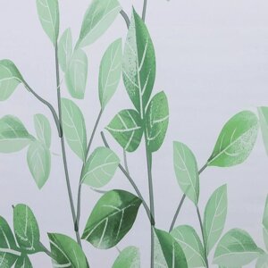 Штора рулонная «Ветви», блэкаут, 90200 см, цвет белый