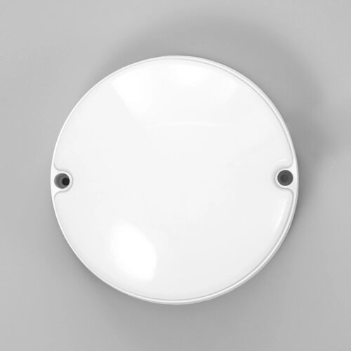 Светильник "Круг" LED 10Вт IP65 белый 5х5х14 см