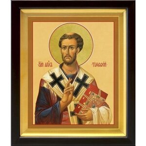 Апостол от 70-ти Тимофей Ефесский, епископ, икона в киоте 19*22,5 см