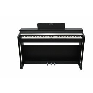 Beisite B-89 Pro BK - Цифровое фортепиано