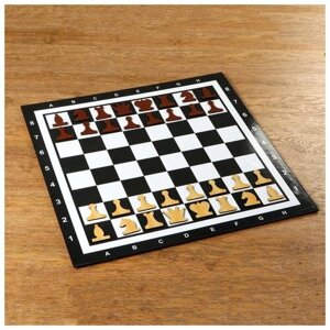Демонстрационные шахматы "Время игры" на магнитной доске, 32 шт, поле 60 х 60 см 4870420