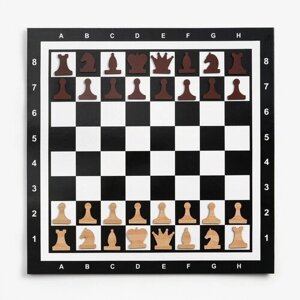 Демонстрационные шахматы "Время игры" на магнитной доске, 32 шт, поле 60 х 60 см