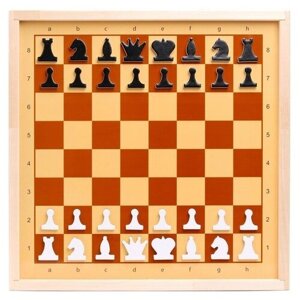 Десятое Королевство Шахматы и шашки демонстрационные магнитные (мини)