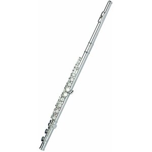 Flute Artemis RFL-309SE - Флейта с посеребреным корпусом и головой, серебряной кареткой и губками. Закрытые клапаны, не в линию, ми-механика