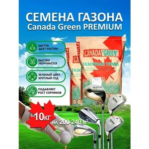 Газонная трава семена Канада Грин Премиум PREMIUM 10 кг/ мятлик, райграс, овсяница семена для газона/2 шт