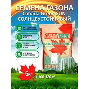 Газонная трава семена Канада Грин Солнечный SUN 15 кг/ райграс, мятлик, овсяница семена