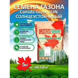 Газонная трава семена Канада Грин Солнечный SUN 5 кг/ райграс, мятлик, овсяница семена