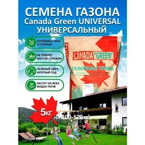 Газонная трава семена Канада Грин Универсальный Universal 5 кг/ райграс, тимофеевка, овсяница семена газона