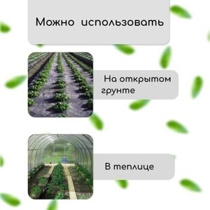 Greengo Материал мульчирующий, с перфорацией, 10 1,6 м, плотность 80 г/м²спанбонд с УФ-стабилизатором, чёрный, Greengo, Эконом 20%