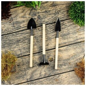 Greengo Набор инструментов, 3 предмета: грабли, 2 лопатки, длина 24 см, деревянные ручки