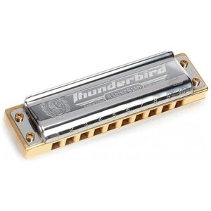 Губная гармошка Hohner Marine Band Thunderbird (M201113X) D Low, бежевый/серебристый