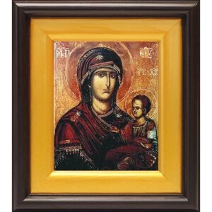 Икона Божией Матери "Попская (Иерейская)в широком киоте 16,5*18,5 см
