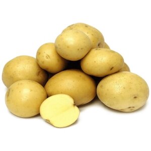 Картофель семенного типа "Гала", 5 кг в сетке, устойчивый к повреждениям, обладает отменным картофельным ароматом. Высокая урожайность
