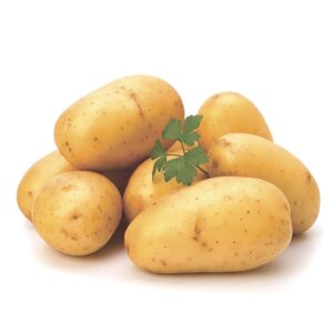Картофель семенной Армада (2 кг)