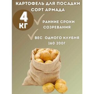 Картофель семенной "Армада" 4 кг