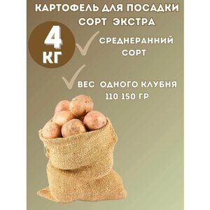 Картофель Семенной Экстра 4 кг