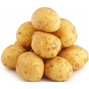 Картофель семенной "Коломбо" 2 кг в мешке. Популярность данного сорта обусловлена высокой устойчивостью к переменчивости погодных условий