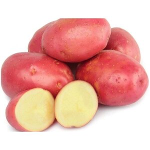 Картофель семенной Розара, 2 кг, для посадки в конце весны, высококачественный. Данный сорт отличается отменными вкусовыми качествами.