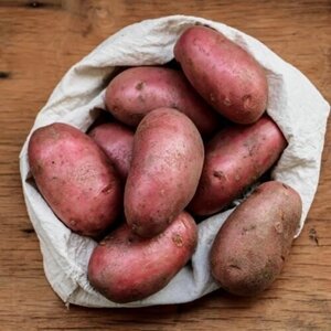 Картофель семенной сорт Ред Скарлет 10 кг