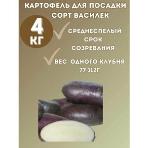 Картофель семенной Василек 4 кг