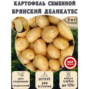 Клубни картофеля на посадку Брянский деликатес (суперэлита) 3 кг Среднеранний