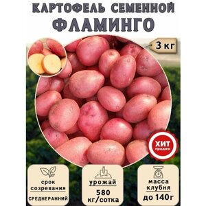 Клубни картофеля на посадку "Фламинго"суперэлита) 3 кг Среднеранний