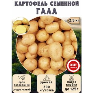 Клубни картофеля на посадку Гала (суперэлита) 2,5 кг Среднеранний