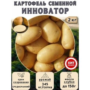 Клубни картофеля на посадку Инноватор (суперэлита) 2 кг Среднеранний