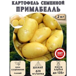 Клубни картофеля на посадку Примабелль (суперэлита) 2 кг Ранний