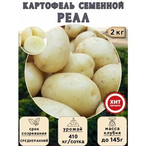 Клубни картофеля на посадку Реал (суперэлита) 2 кг Среднеранний