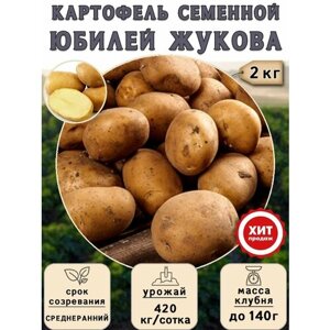 Клубни картофеля на посадку Юбилей Жукова (суперэлита) 2 кг Среднеранний
