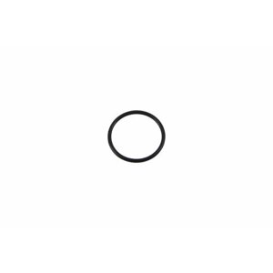 Кольцо круглого сечения 21,95 х 1,78 для мойки KARCHER HD 10/21-4 S PLUS (1.286-304.0)