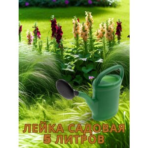 Лейка садовая, 5 л, разных цветов, пластмассовая Россия 67510