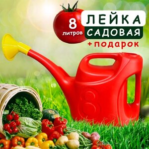 Лейка садовая с насадкой 8л красная