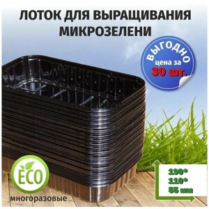 Лотки для микрозелени черного цвета / 190*110*55 / 100 штук, пластиковые контейнеры для проращивания рассады микрозелени
