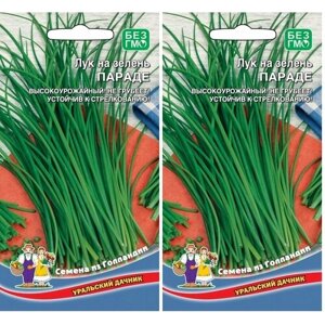 Лук на зелень параде, 2 упаковки по 0,25гр, НЕ стрелкуется, Уральский Дачник)