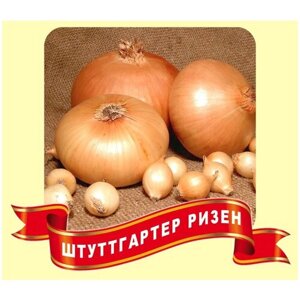 Лук-севок "Штуттгартер Ризен" 10 кг (14-21 мм, желтый острый)в фасовочной упаковке; масса луковицы в частных огородах составляет 120-150 г