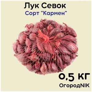 Лук Севок сорт "Кармен" 0,5кг