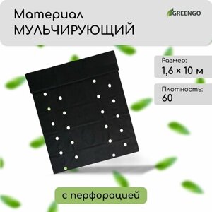 Материал мульчирующий, 10 1.6 м, плотность 60 г/м²с УФ-стабилизатором, два ряда перфорации (о), чёрный