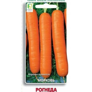 Морковь Рогнеда 370483