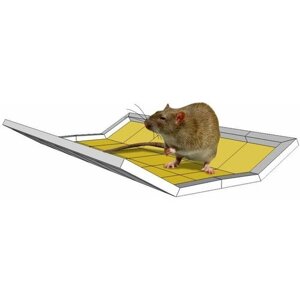 Мышеловка, ловушка для мышей клеевая 40 гр, Mr. Mouse