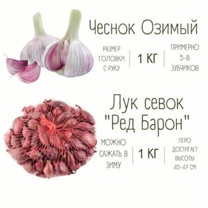 Набор Чеснок Озимый и Лук севок 1 кг