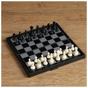 Настольная игра 3 в 1 'Зук'нарды, шахматы, шашки, магнитная доска 24.5 х 24.5 см