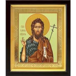 Предтеча и Креститель Господень Иоанн, икона в киоте 19*22,5 см