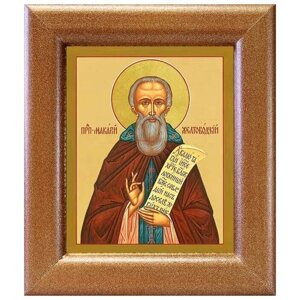Преподобный Макарий Желтоводский, Унженский, икона в широкой рамке 14,5*16,5 см
