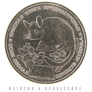 Приднестровье 1 рубль 2023 Соня лесная UNC / коллекционная монета