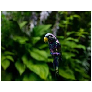 Садовый штекер фиолетовый попугай, пластик, 17x5x3 см, высота 60 см, Kaemingk 808198-фиолетовый